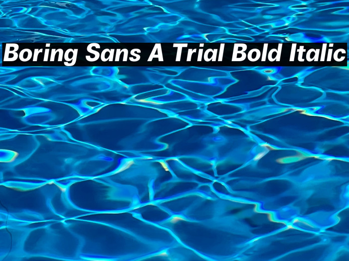 Boring Sans A Trial Bold Italic Example 2