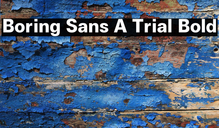 Boring Sans A Trial Bold Example 1