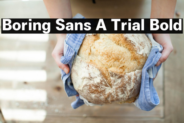 Boring Sans A Trial Bold Example 2