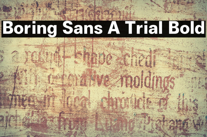 Boring Sans A Trial Bold Example 3