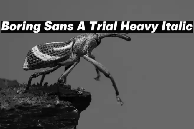 Boring Sans A Trial Heavy Italic Font examples