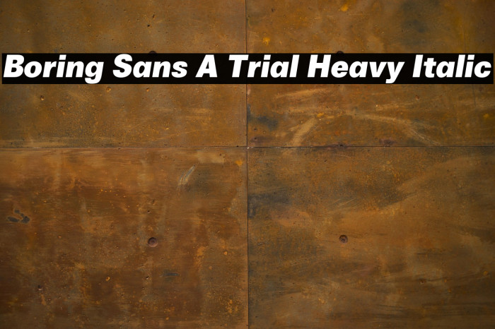 Boring Sans A Trial Heavy Italic Example 3