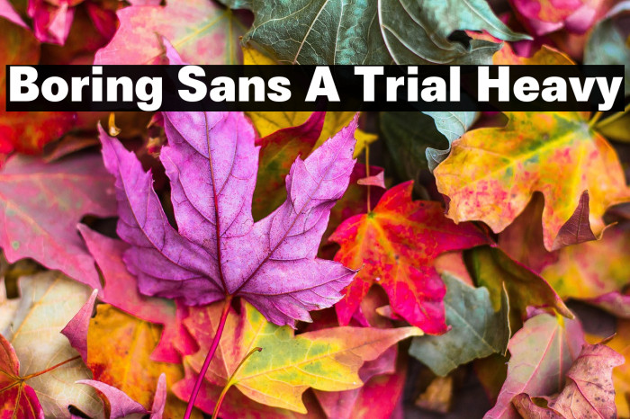 Boring Sans A Trial Heavy Example 1