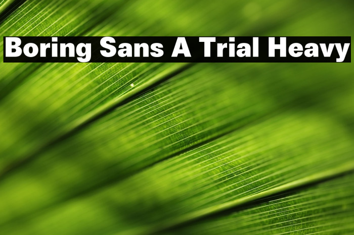 Boring Sans A Trial Heavy Example 2