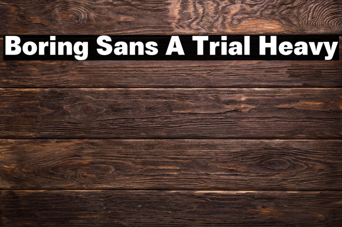 Boring Sans A Trial Heavy Example 3