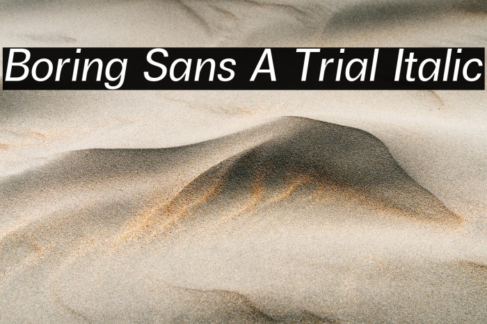 Boring Sans A Trial Italic Example 2