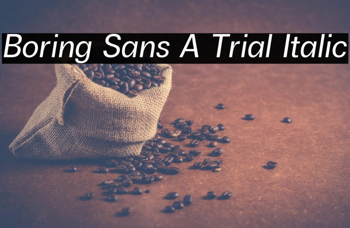 Boring Sans A Trial Italic Example 3