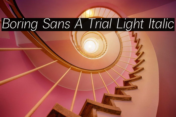 Boring Sans A Trial Light Italic Example 1