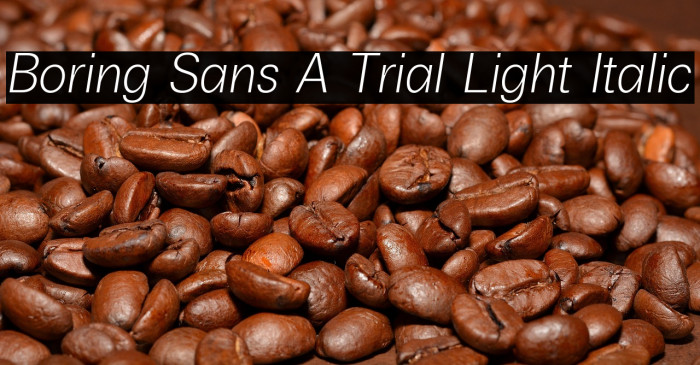 Boring Sans A Trial Light Italic Example 2