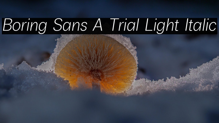 Boring Sans A Trial Light Italic Example 3