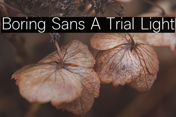 Boring Sans A Trial Light Example 2