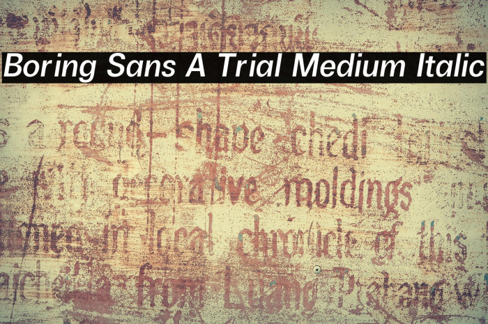 Boring Sans A Trial Medium Italic Example 3