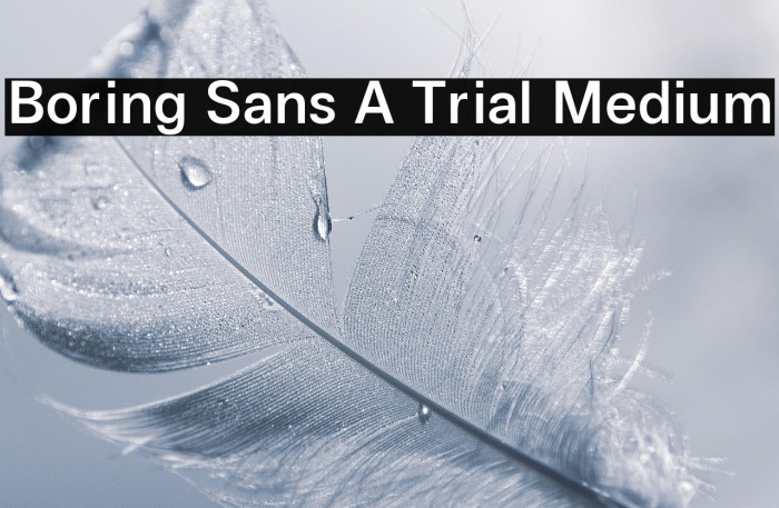 Boring Sans A Trial Medium Example 1