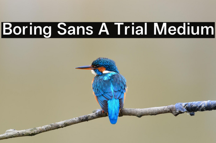 Boring Sans A Trial Medium Example 2