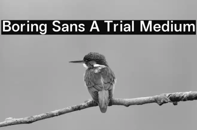 Boring Sans A Trial Medium Font examples