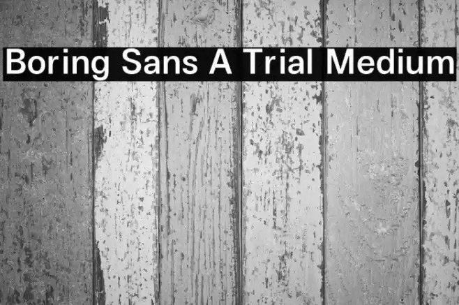 Boring Sans A Trial Medium Font examples