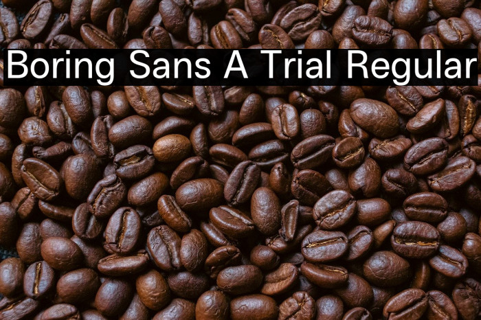 Boring Sans A Trial Regular Example 1