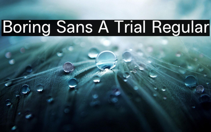 Boring Sans A Trial Regular Example 2