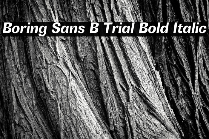 Boring Sans B Trial Bold Italic Example 3