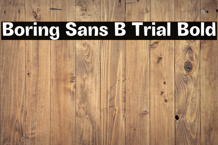 Boring Sans B Trial Bold Example 1