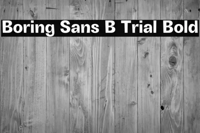 Boring Sans B Trial Bold Font examples