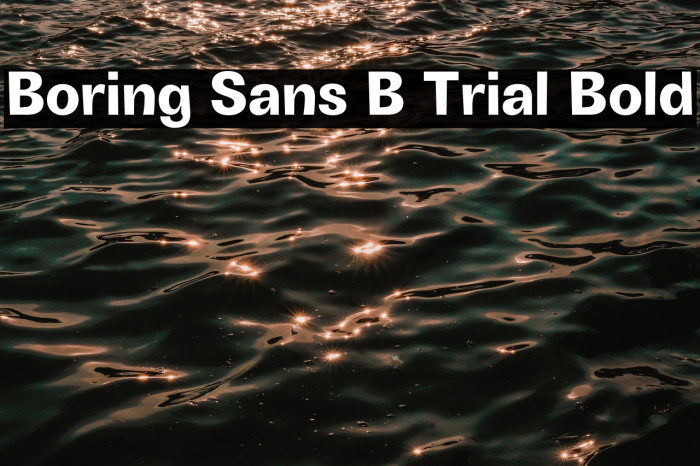Boring Sans B Trial Bold Example 3