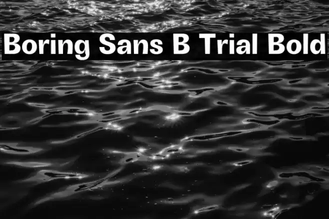 Boring Sans B Trial Bold Font examples