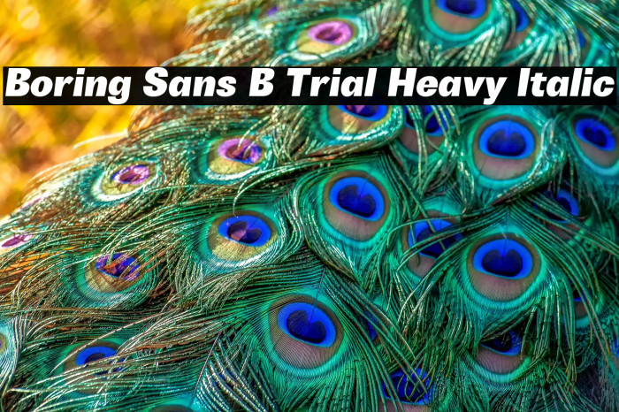 Boring Sans B Trial Heavy Italic Example 1