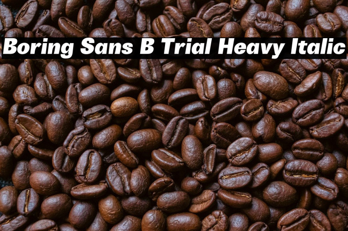 Boring Sans B Trial Heavy Italic Example 2
