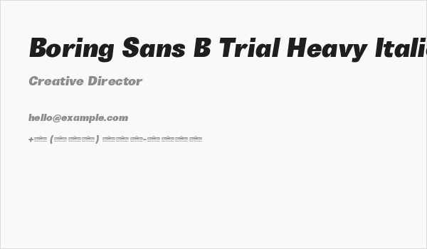 Boring Sans B Trial Heavy Italic Business Card