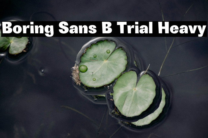 Boring Sans B Trial Heavy Example 1
