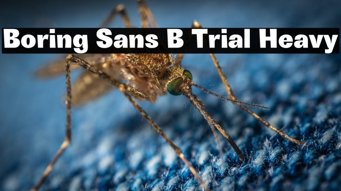 Boring Sans B Trial Heavy Example 3