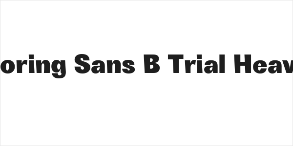Boring Sans B Trial Heavy Logo
