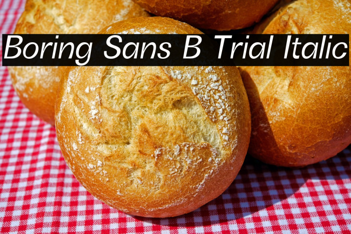 Boring Sans B Trial Italic Example 1