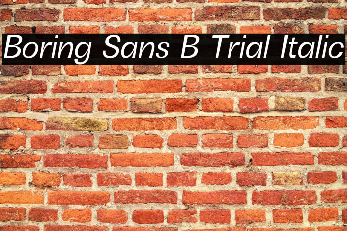 Boring Sans B Trial Italic Example 2