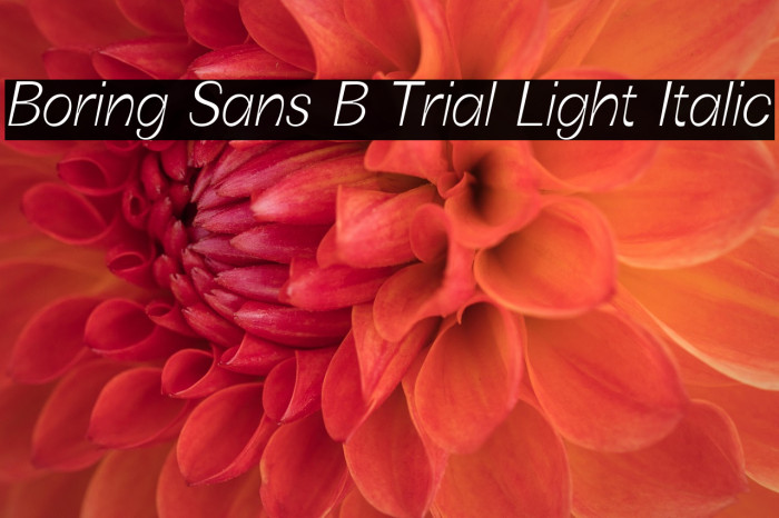 Boring Sans B Trial Light Italic Example 1