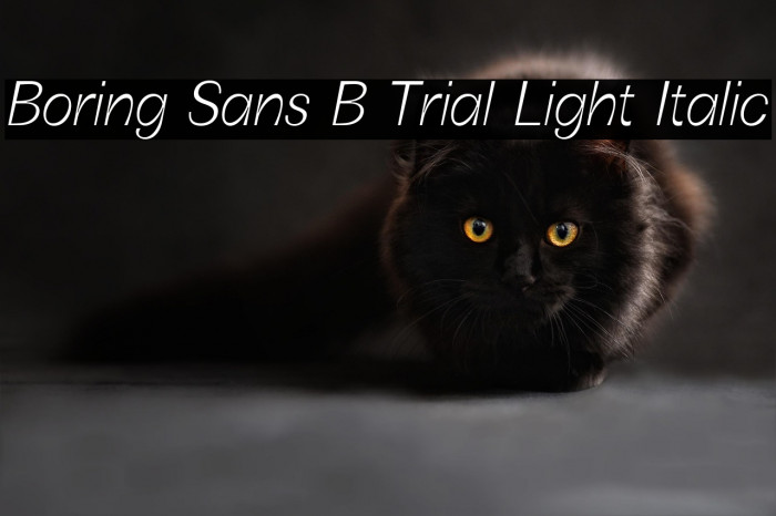 Boring Sans B Trial Light Italic Example 2