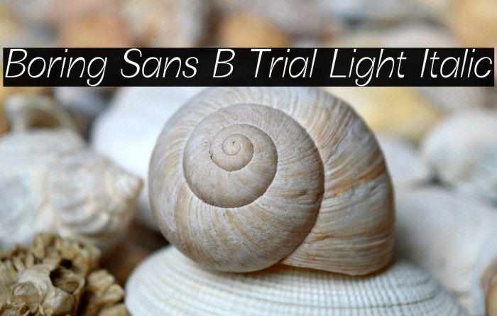 Boring Sans B Trial Light Italic Example 3