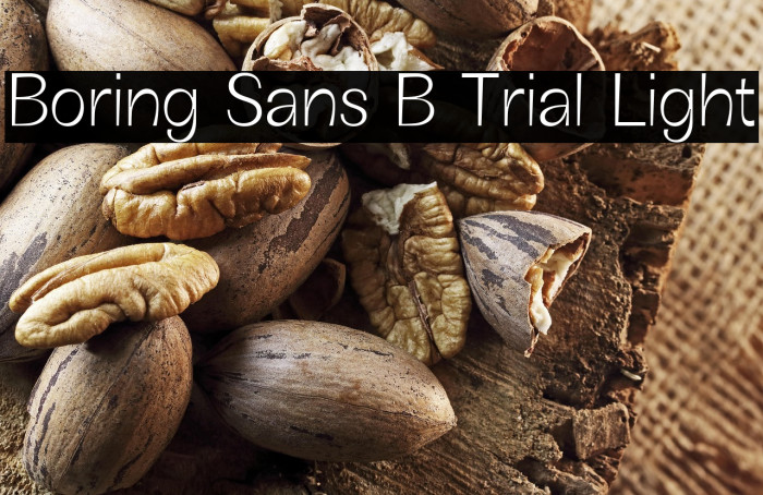 Boring Sans B Trial Light Example 1