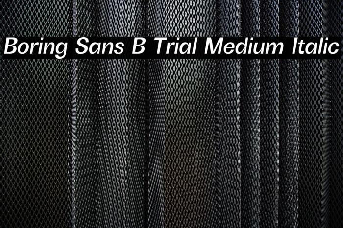 Boring Sans B Trial Medium Italic Example 1