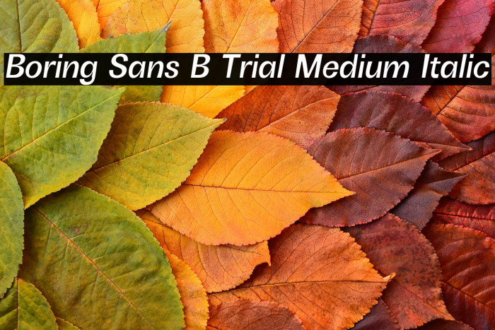Boring Sans B Trial Medium Italic Example 2