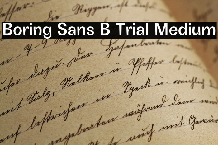 Boring Sans B Trial Medium Example 1