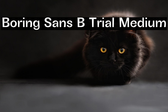 Boring Sans B Trial Medium Example 2