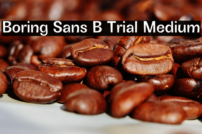 Boring Sans B Trial Medium Example 3