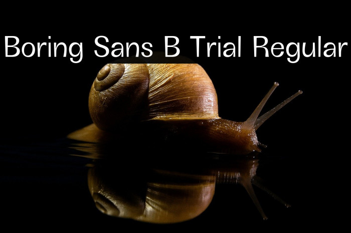 Boring Sans B Trial Regular Example 2