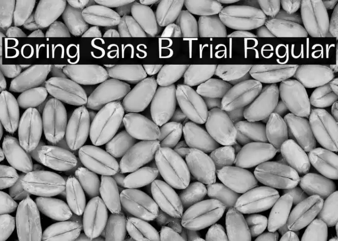 Boring Sans B Trial Regular Font examples