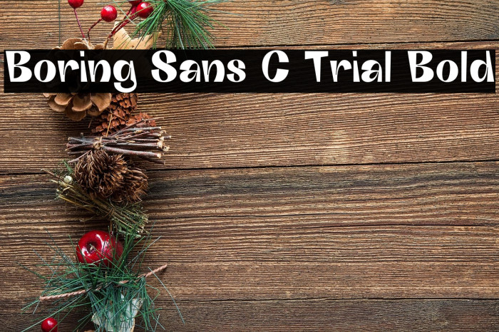 Boring Sans C Trial Bold Example 1