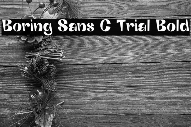 Boring Sans C Trial Bold Font examples