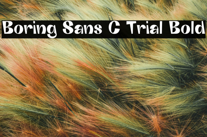 Boring Sans C Trial Bold Example 2
