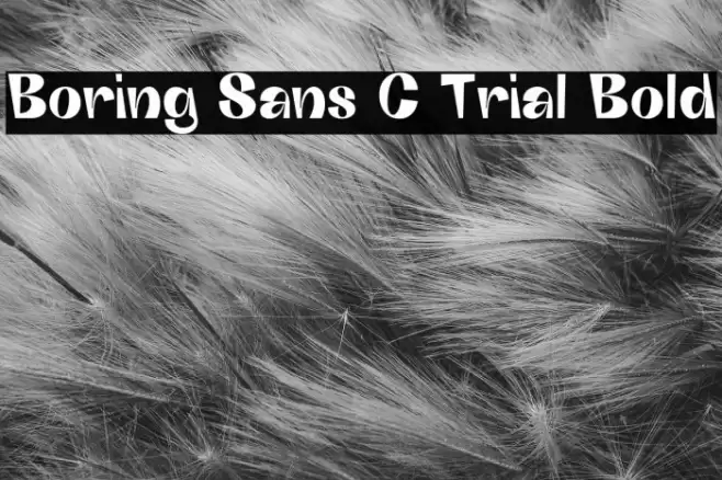 Boring Sans C Trial Bold Font examples